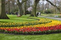 Colorful spring flowers in the park