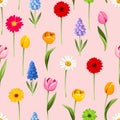 Colorful spring flowers on pink. Vector seamless pattern Royalty Free Stock Photo