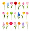 Colorful spring flowers. Set of vector illustrations Royalty Free Stock Photo
