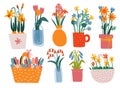 Colorful Spring Flowers in Vases Set, Bouquets in Glass, Ceramic Vases, Flower Pots, Basket Vector Illustration Royalty Free Stock Photo