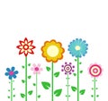 Colorful spring flowers Royalty Free Stock Photo