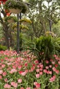 Colorful spring garden in Nanning Qingxiu mountain Royalty Free Stock Photo