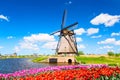 Colorful spring landscape in Netherlands, Europe. Famous windmill in Kinderdijk village with a tulips flowers flowerbed in Holland Royalty Free Stock Photo