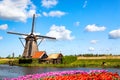 Colorful spring landscape in Netherlands, Europe. Famous windmills in Kinderdijk village with a tulips flowers flowerbed in Royalty Free Stock Photo