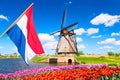 Colorful spring landscape in Netherlands, Europe. Famous windmills in Kinderdijk village with a tulips flowers flowerbed in Royalty Free Stock Photo