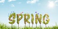 Colorful SPRING lettering standing on green grass Royalty Free Stock Photo