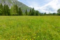 Lake Bohinj and Ukanc village in Triglav national park, Slovenia