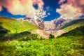 Colorful spring morning in the Caucasus mountain