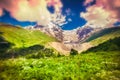 Colorful spring morning in the Caucasus mountain Royalty Free Stock Photo