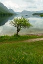 Lake Bohinj and Ukanc village in Triglav national park, Slovenia