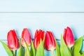 Colorful spring red tulip flowers on light blue wooden background as greeting card with free space. Mothersday or spring concept. Royalty Free Stock Photo
