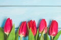 Colorful spring red tulip flowers on light blue wooden background as greeting card with free space. Mothersday or spring concept