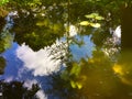 Colorful spring reflections