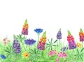 Colorful spring and summer background with wildflowers and grass. Watercolor hand painted meadow Royalty Free Stock Photo