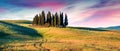 Colorful spring sunrise with small cypress forest among the field of wheat. Berautiful morning panorama of Tuscany, Italy, Europe