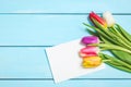 Colorful spring tulip flowers with blank photo on light blue wooden background as greeting card. Mothersday or spring concept