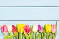 Colorful spring tulip flowers on light blue wooden background as greeting card with free space. Mothersday or spring concept.