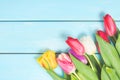 Colorful spring tulip flowers on light blue wooden background as greeting card with free space. Mothersday or spring concept. Royalty Free Stock Photo