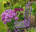 A colorful spring tulip garden Royalty Free Stock Photo