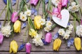 Colorful spring tulips, narcissus, muscaries flowers and heart