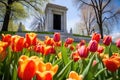 colorful spring tulips surrounding a park monument