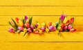 Colorful springtime flowers on yellow background