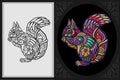 Colorful squirrel zentangle art with black line sketch isolated on black and white background