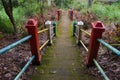 colorful stairs on Aco lake, West Kutai, East Kalimantan, Indonesia