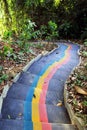 Colorful stairs in jungle in a park, top view. Royalty Free Stock Photo