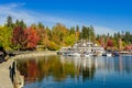 Colorful Stanley Park along the seawall path in the autumn, Vancouver, Canada Royalty Free Stock Photo