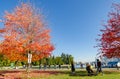 Colorful Stanley Park along the seawall pathin the autumn, Vancouver, Canada Royalty Free Stock Photo