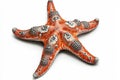 Colorful starfish on a white isolated background Royalty Free Stock Photo