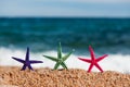 Colorful starfishes Royalty Free Stock Photo
