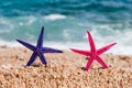 Colorful starfishes Royalty Free Stock Photo