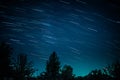 Startrails above dark forest Royalty Free Stock Photo