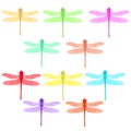 Colorful Stilized Dragonfly. Insect Logo Design. Aeschna Viridls