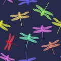 Colorful Stilized Dragonfly. Insect Logo Design. Aeschna Viridls