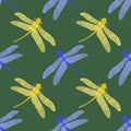 Colorful Stilized Dragonfly on Green Background. Insect Logo Design. Aeschna Viridls