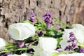 A colorful still-life with roses on the background of the bark