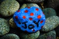 Stone painting - Joy written on it