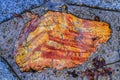 Colorful Stone Walkway Fall Leaves Kinkaku-Ji Golden Temple Kyoto Japan Royalty Free Stock Photo