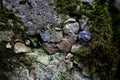 Colorful stones and rocks resting on forest moss Royalty Free Stock Photo