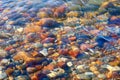 Colorful stones under water. The concept of meditation, contemplation, peace and silence Royalty Free Stock Photo