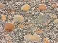 Colorful stones wall Royalty Free Stock Photo