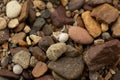 Colorful stones and white snail houses, brown nature background