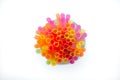 Colorful of straw. Multi colored plastic