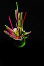Colorful straws Royalty Free Stock Photo