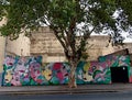 Colorful street mural, behind a big tree, with female faces Royalty Free Stock Photo