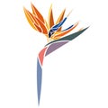 Colorful Strelitzia royal flower, silhouette drawn by various lines in a flat style. Bright tropical paradise flower