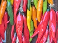 Ceramic chili peppers Royalty Free Stock Photo